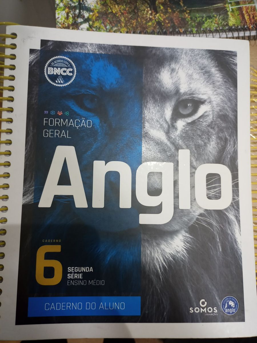 Caderno Anglo 6 Segunda Série Ensino Médio - Usado | Livro O Somos ...