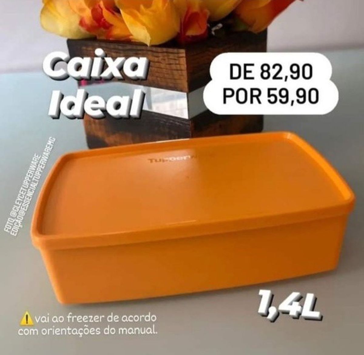Caixa Ideal 1,4 Litros Tupperware Laranja/mango | Móvel de Cozinha ...