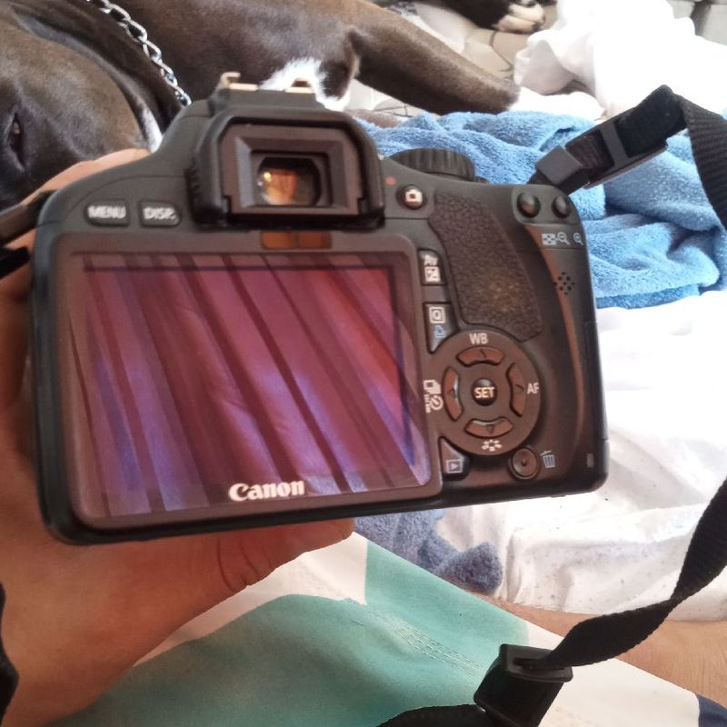 Câmera Canon Eos Kiss X4 com Lente Ef -S 18-55mm 3.5-5.6is | Canon