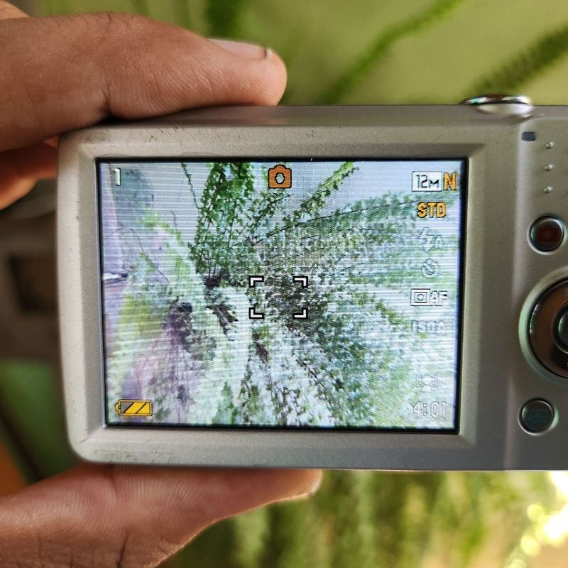 Câmera Digital Casio Exilim Ex-Z16 Prata Prateado | Casio Nunca