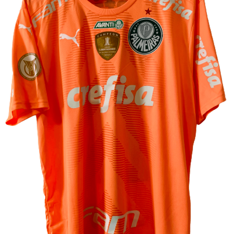 Camiseta Palmeiras Campeão Mundial Estilo Quebrada Premium em Promoção na  Americanas