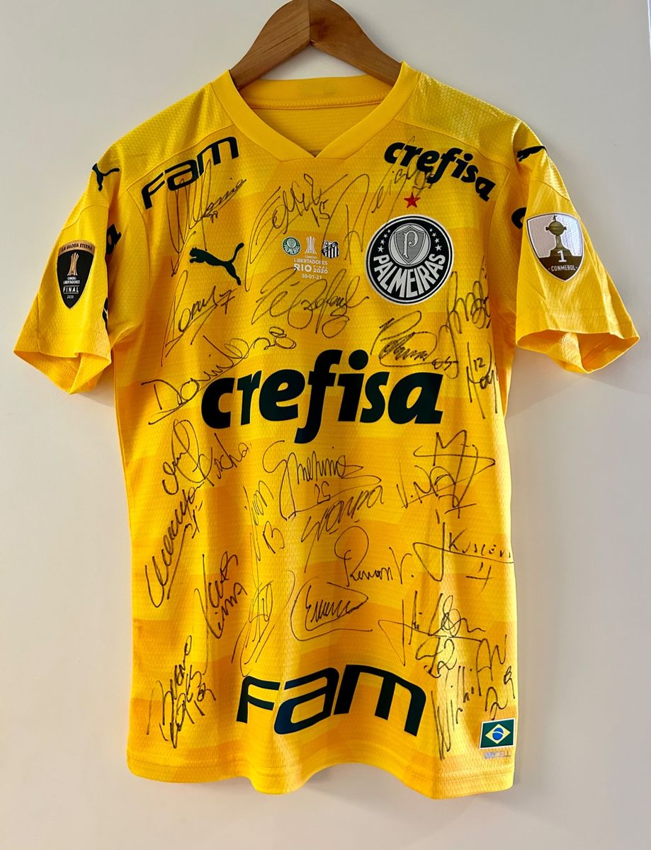 remera de palmeiras 2020