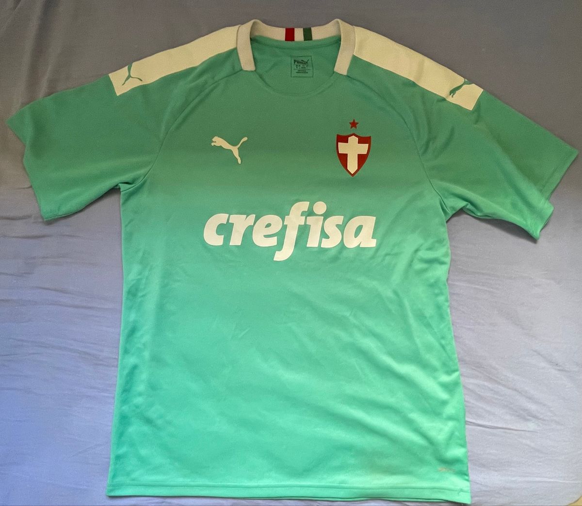 Camisa Palmeiras Iii 19 20 S N Torcedor Puma Masculina Camisa