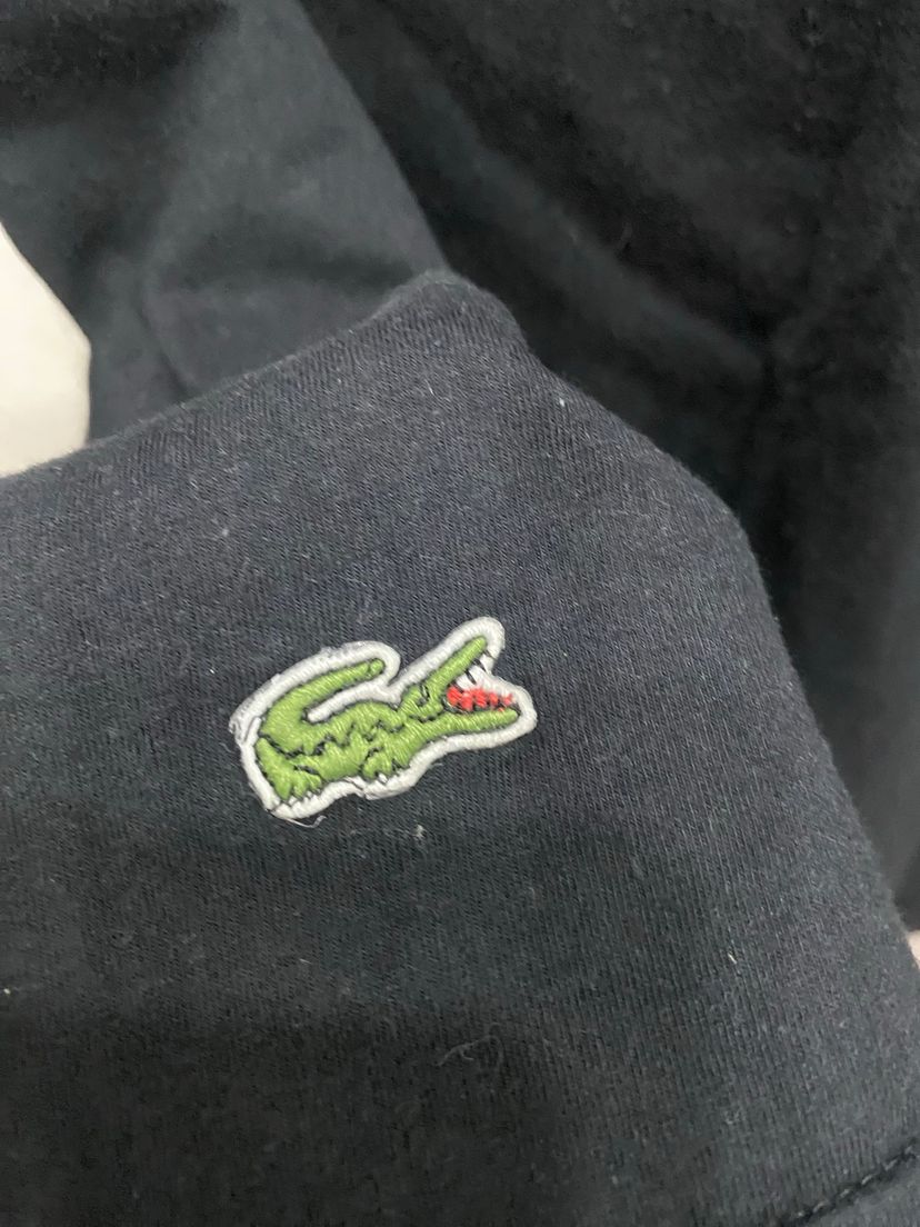 camisa pólo lacoste preta, tamanho g - manga curta lacoste