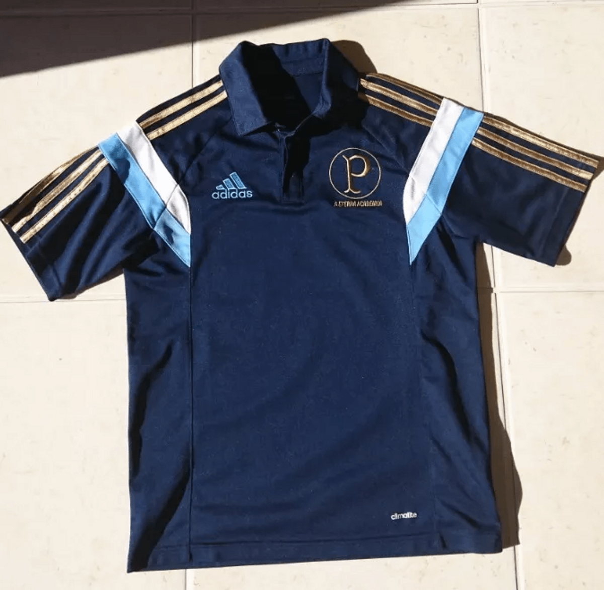 camisa polo masculina palmeiras