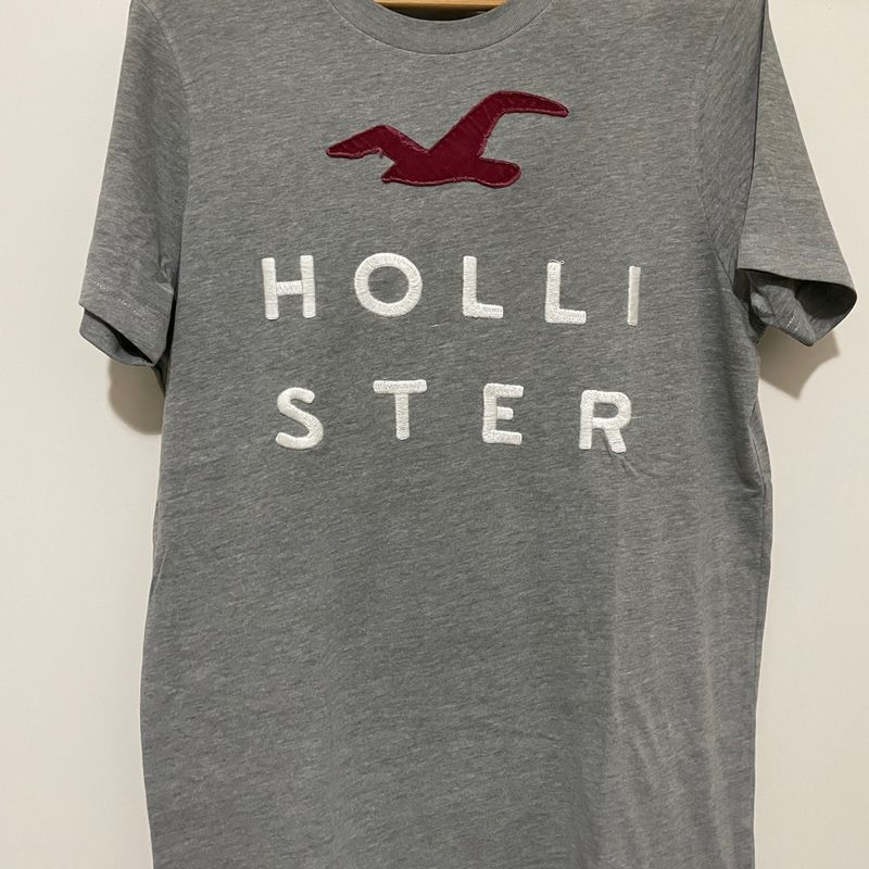 Hollister americana hotsell