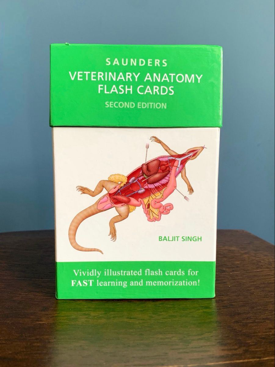 Cards de Anatomia Veterinária (veterinary Anatomy Flash Cards