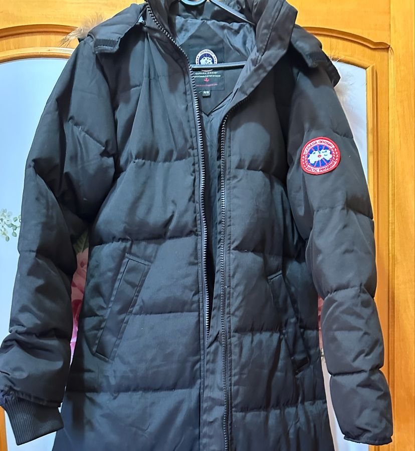 canada goose.m