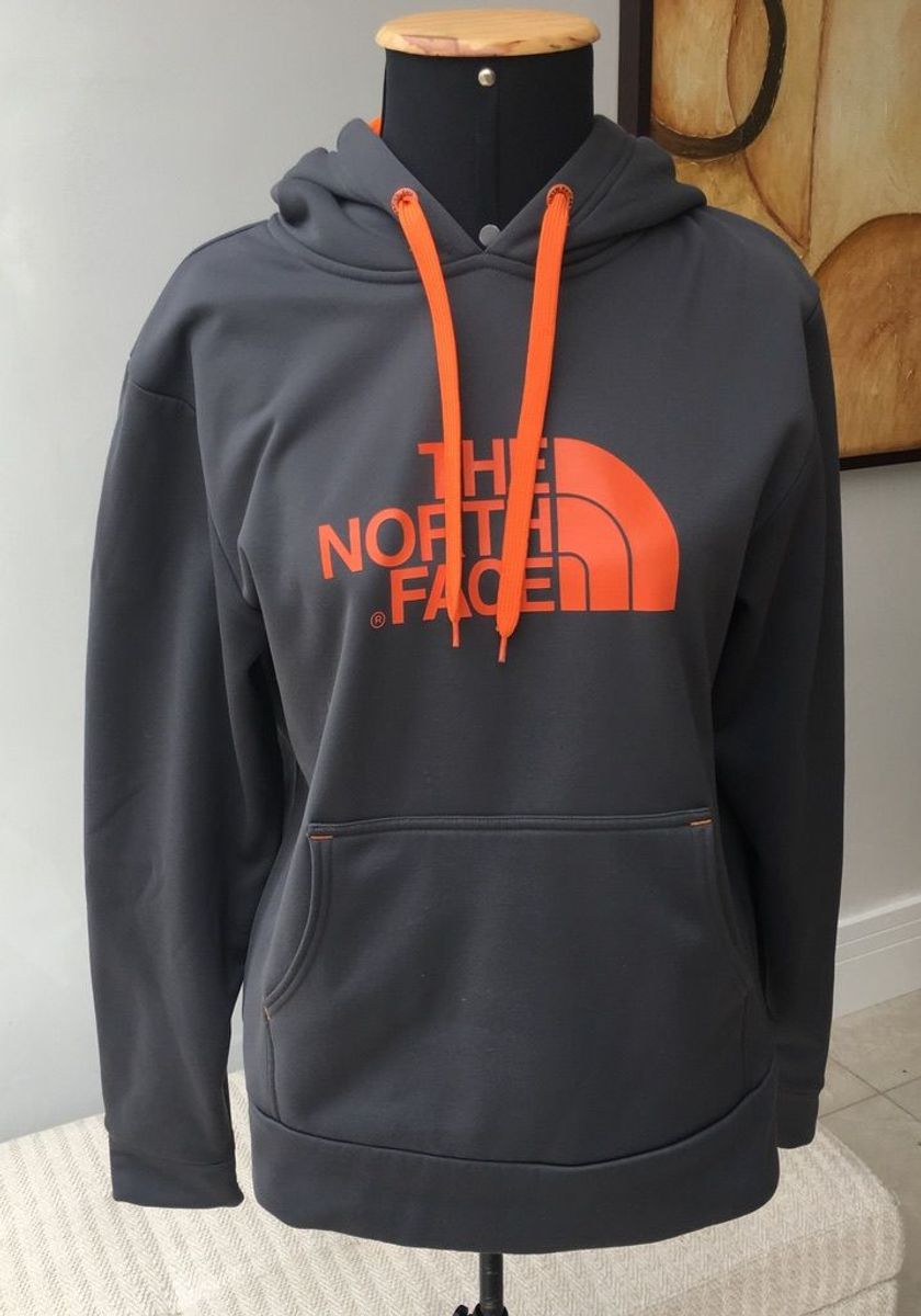 moletom the north face