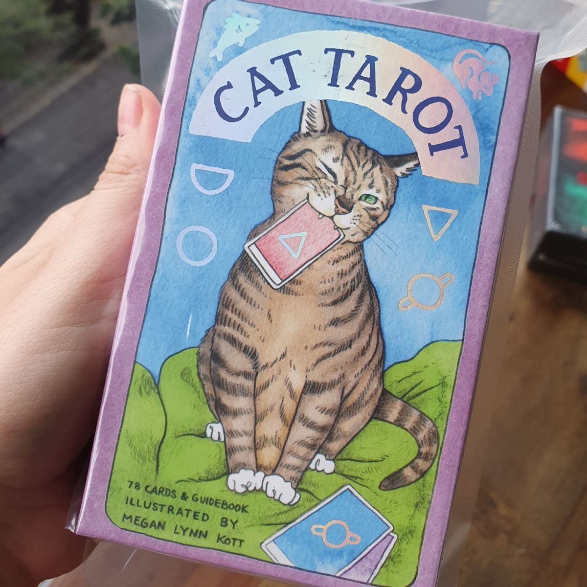Cat Tarot & Guidebook Original | Livro Chronicle Books Nunca Usado ...