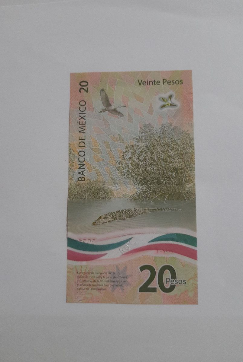 Messico 20 Pesos 2021, UNC, 2 PZ Coppia, Polimero, Consecutivo - Foto 12