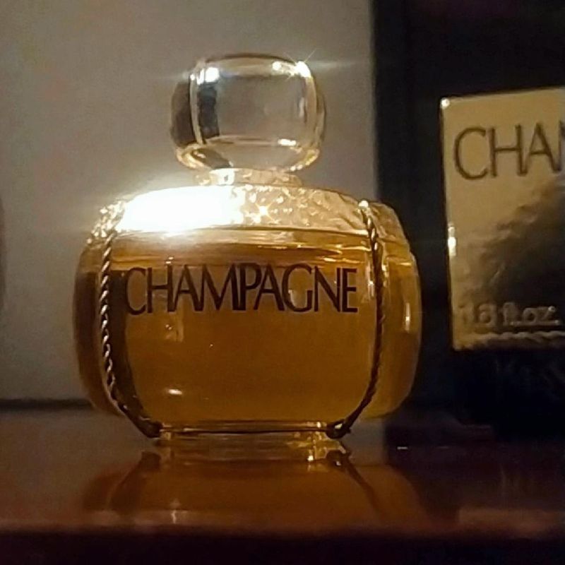 Champagne By Yves Saint Laurent Ysl | Perfume Feminino Ysl Nunca