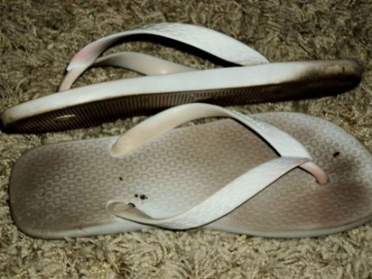 Chinelo Veio | Sandália Masculina Ipanema Usado 48438013 | enjoei