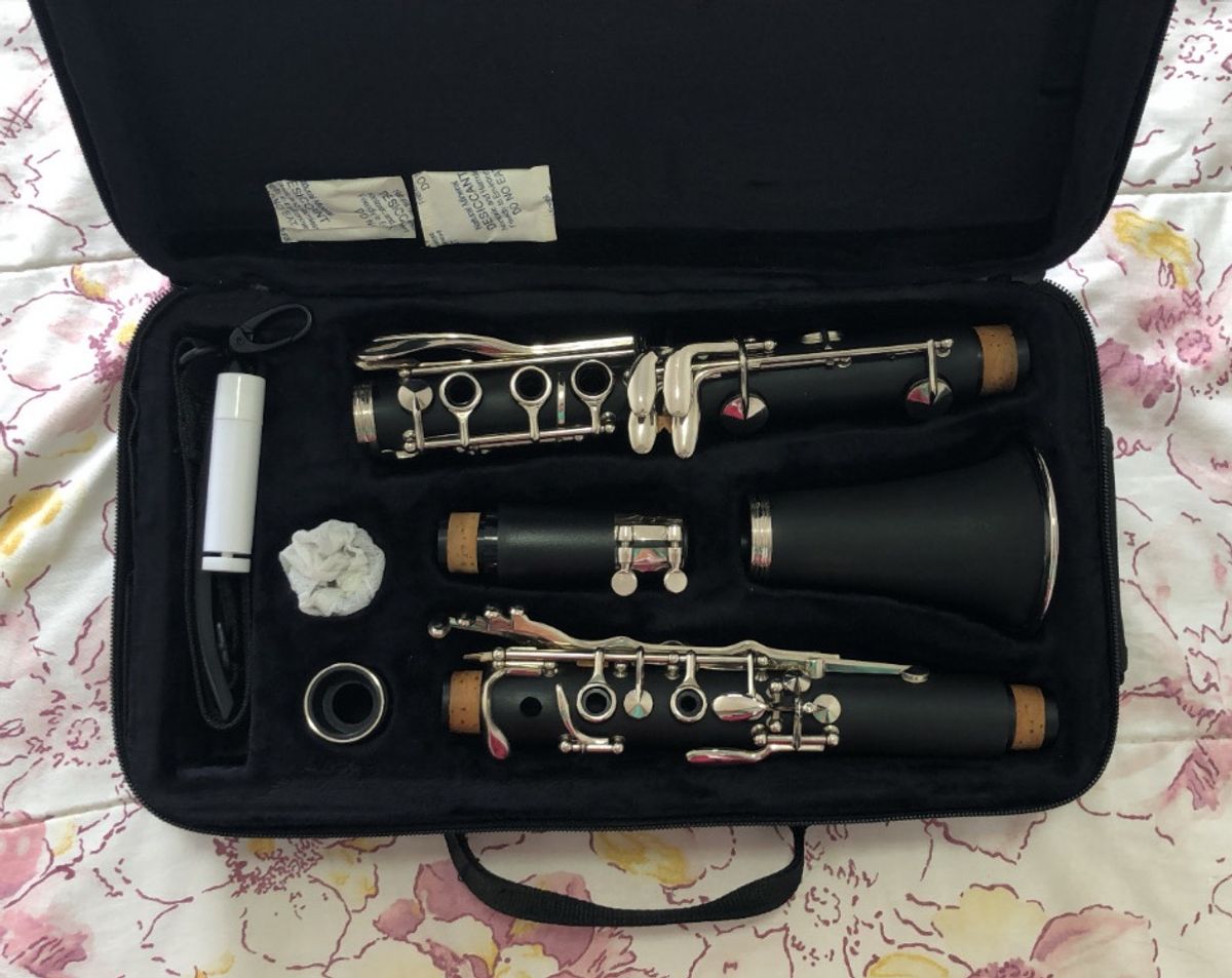 Dolphin 17 Chaves Completo Item de Música Dolphin Nunca