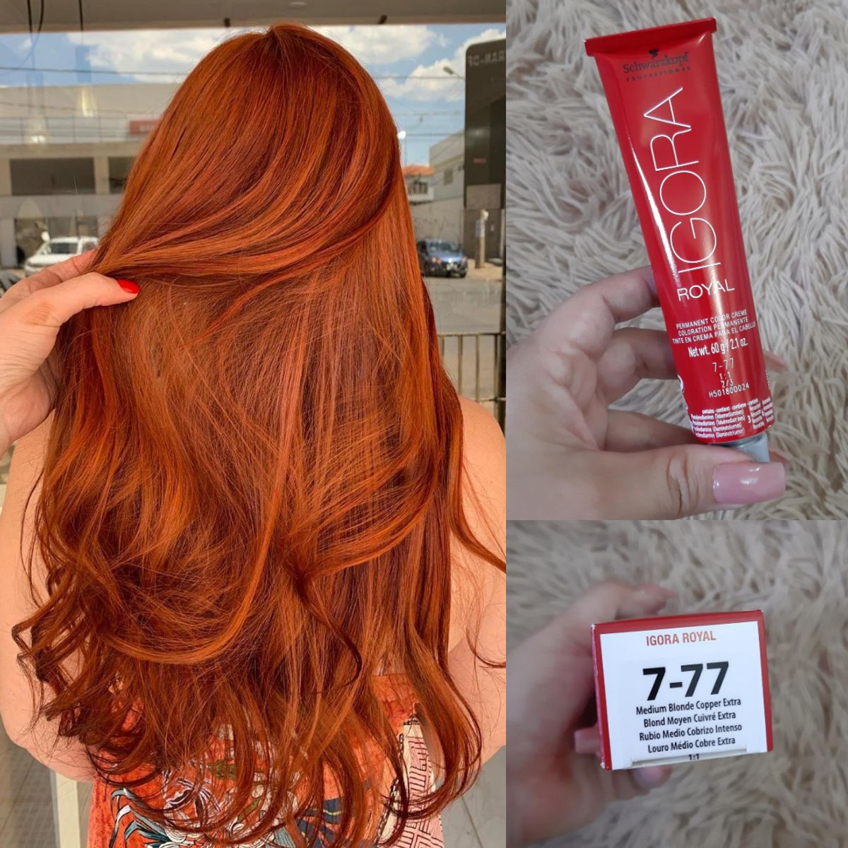 Coloração Igora Royal 7.77 Louro Médio Cobre Extra (Ruivo) 60g - Schwarzkopf