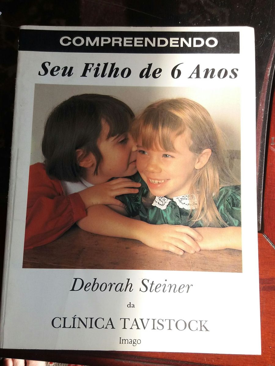 Compreendendo Seu Filho de 6 Anos Livro Usado 21980033 enjoei