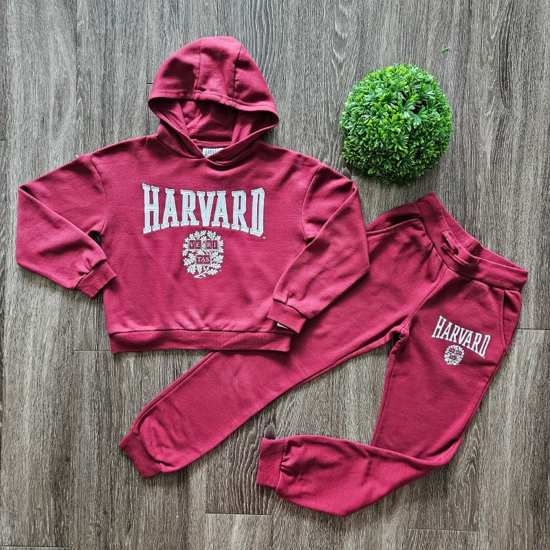 Harvard moletom hot sale