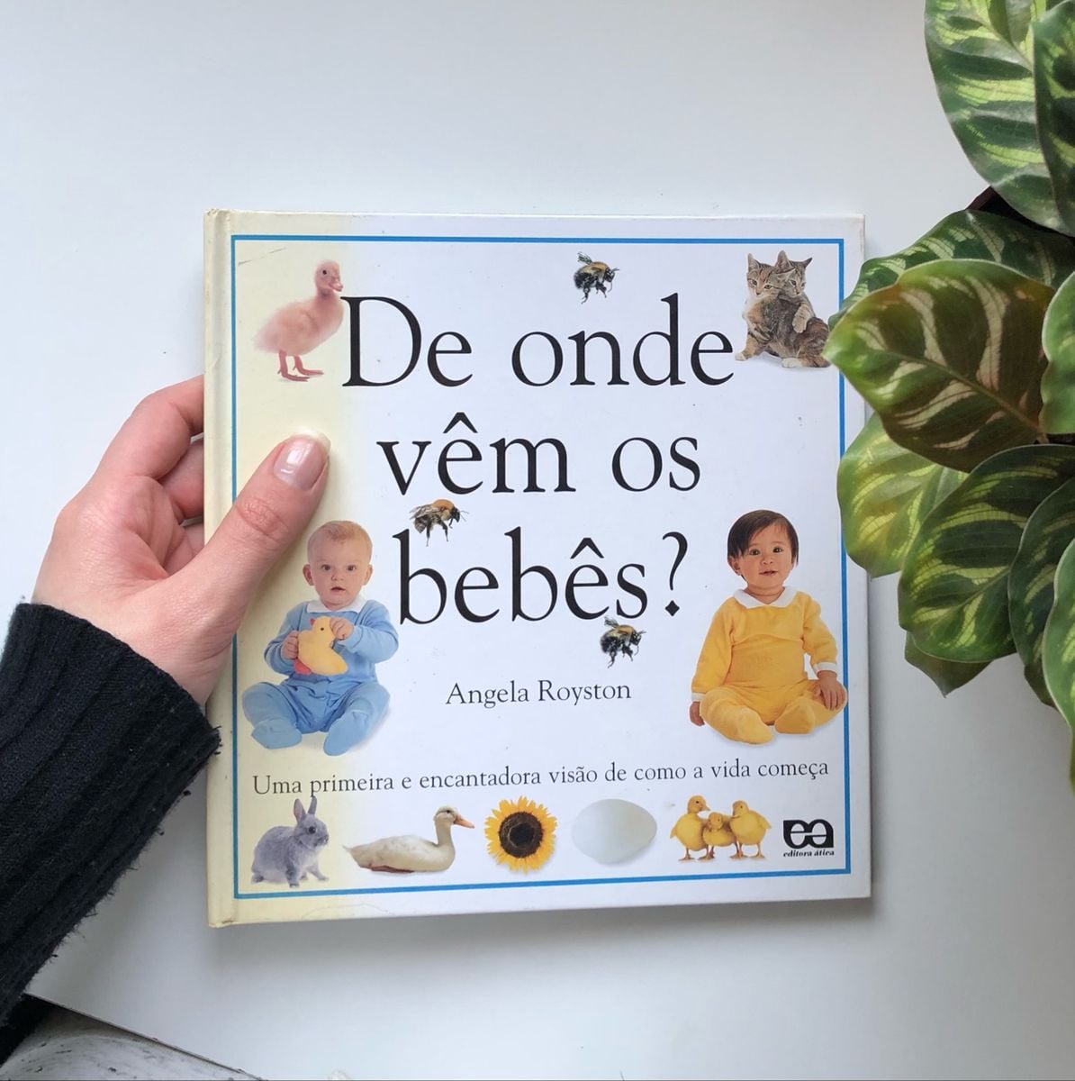 De Onde Vem Os Bebês? | Livro Editora ática Usado 59657476 | enjoei