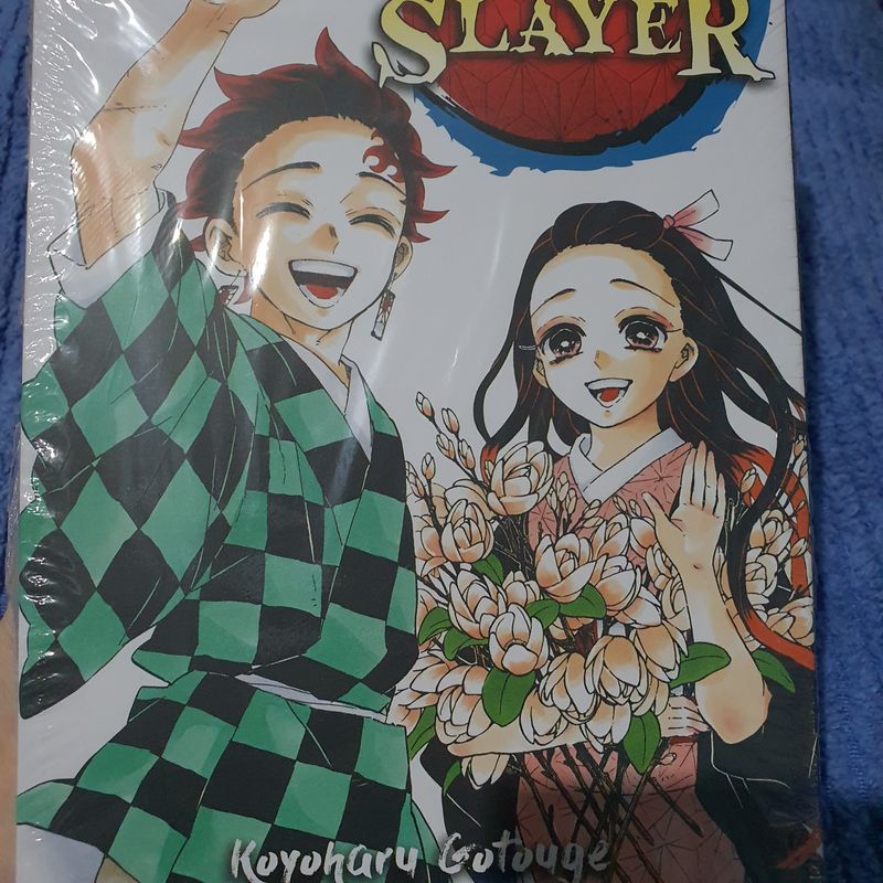 DEMON SLAYER MANGA VOL 23 