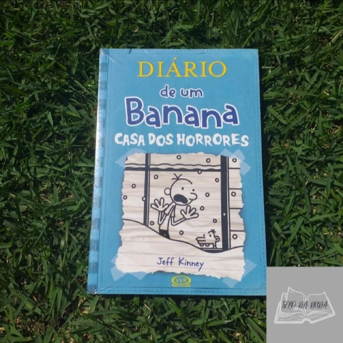 Diario De Um Banana Casas Dos Horrores