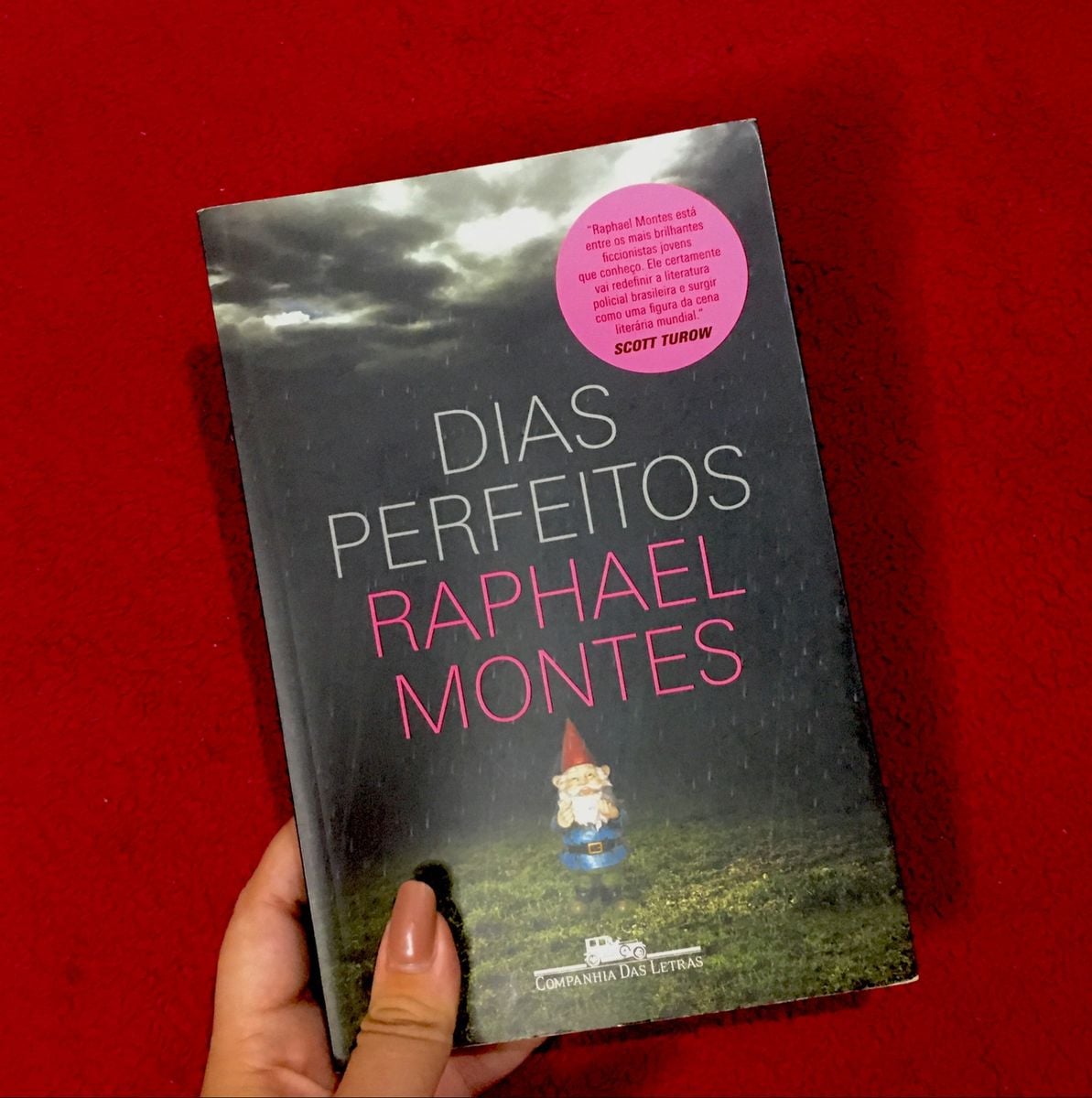 Dias Perfeitos - Raphael Montes | Livro Usado 67304551 | enjoei