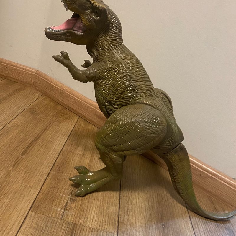 Ele comprou um dinossaurinho para o filho e veio um monstro de 6