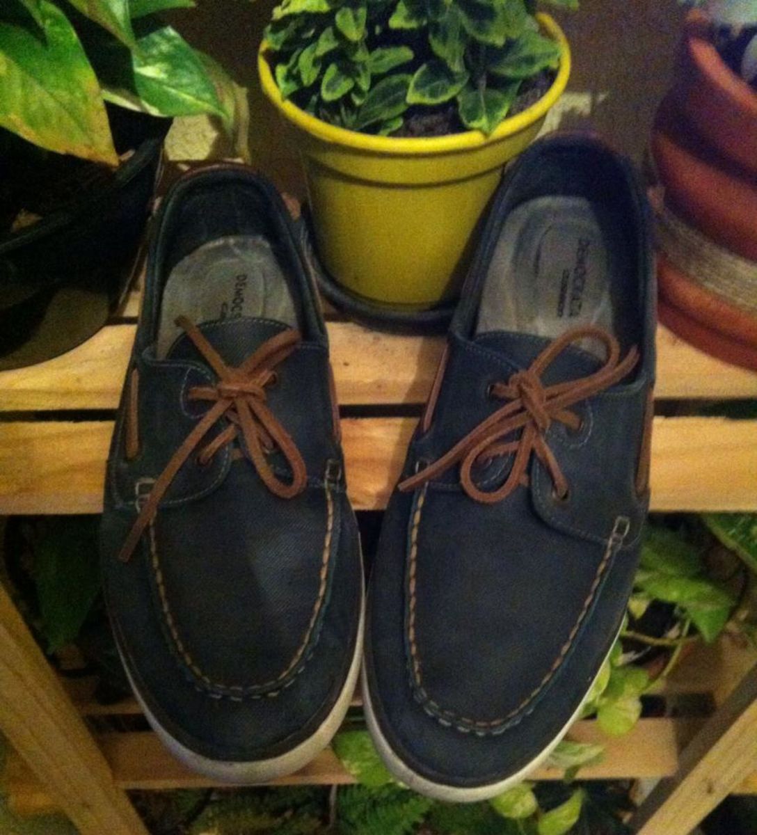 dockside masculino democrata