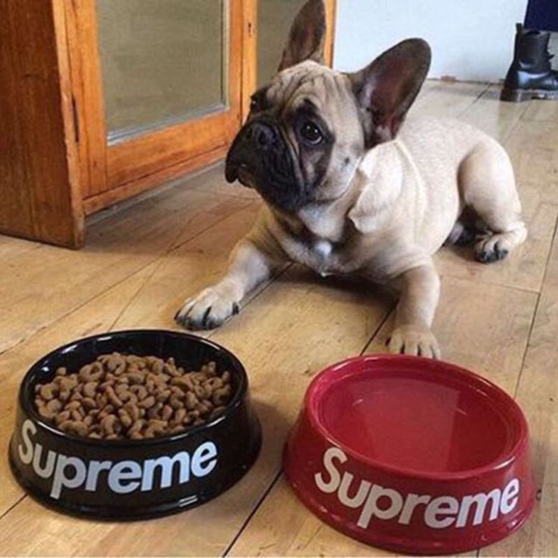 Food Bowl Dog Bowl Supreme Supreme Dog Bowl Red 11ss