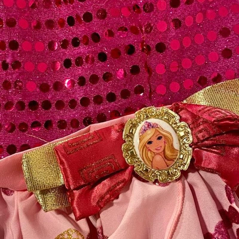 Fantasia Barbie Escola de Princesa Vestido Infantil