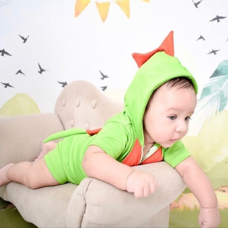 Roupa best sale dinossauro bebe