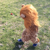 Fantasia Infantil Completa Rei Leão Cosplay Halloween NOVO - outros 