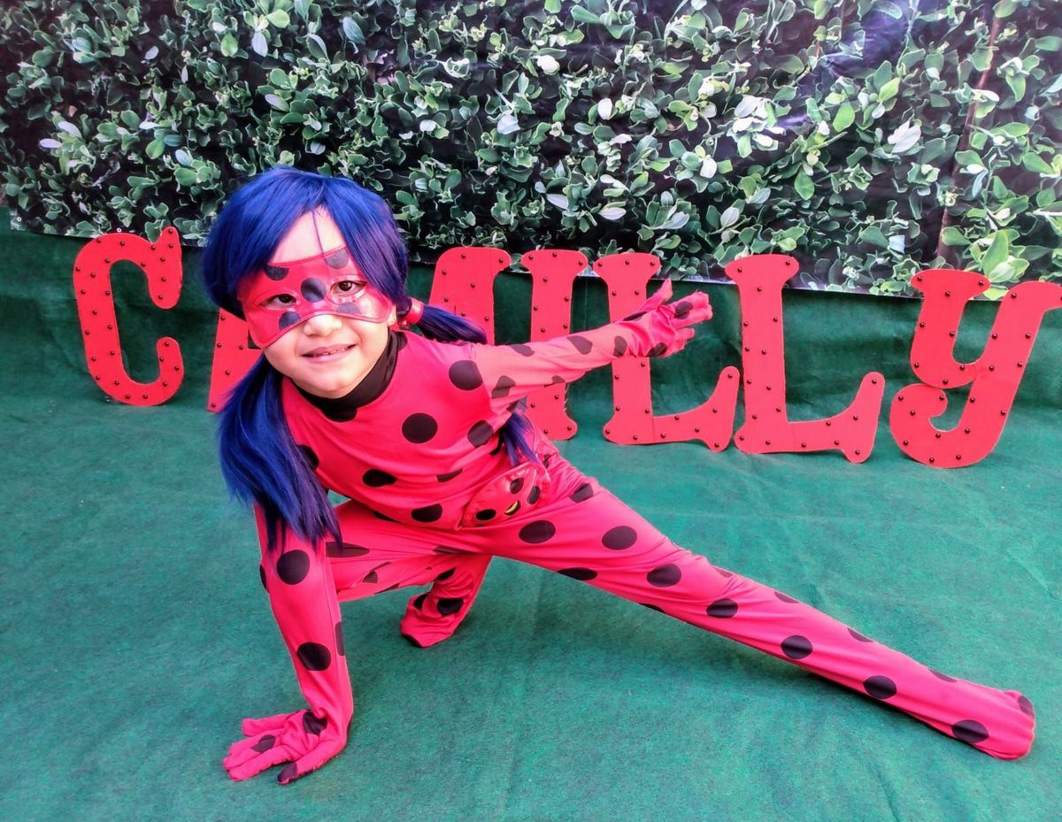 Fantasia Ladybug E Cat Noir