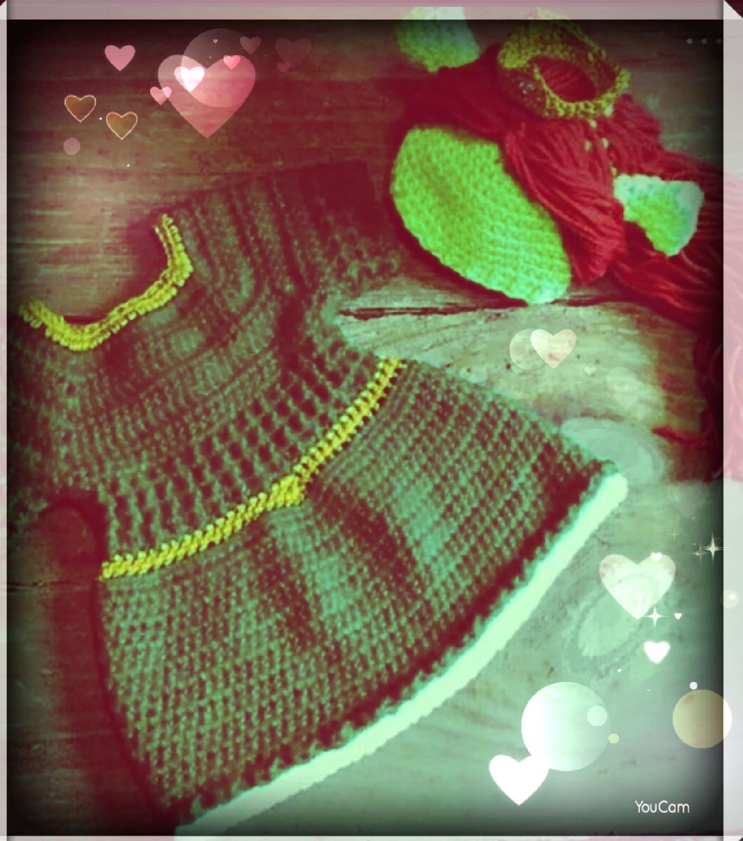 fantasia princesa fiona infantil