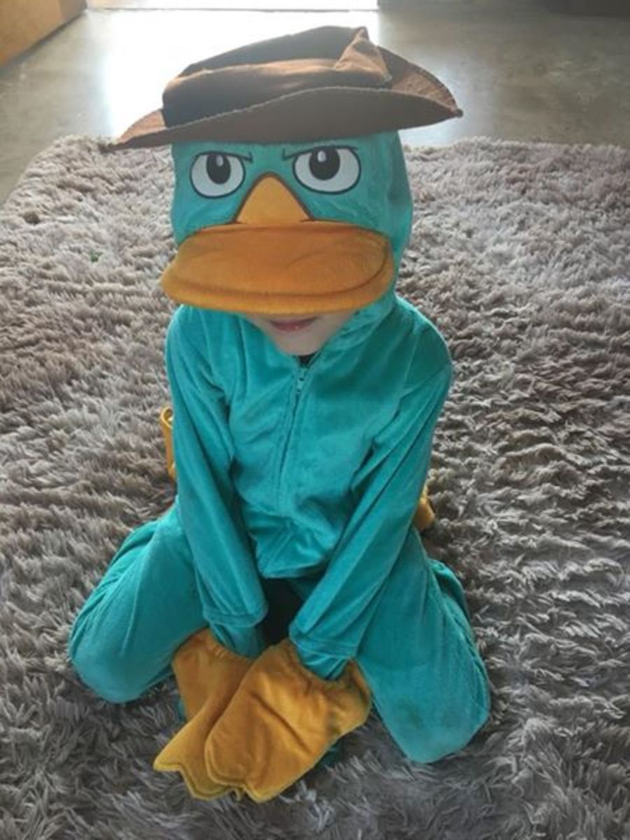 Fantasia Perry Onitorrinco | Brinquedo Disney Usado 30747211 | enjoei