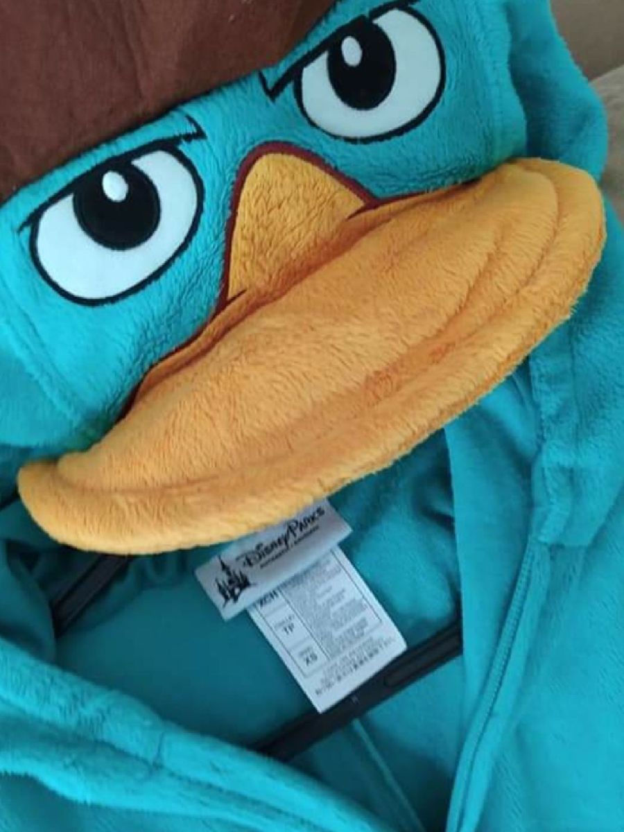 Fantasia Perry Ornitorrinco | Roupa Infantil para Menino Disney Usado ...