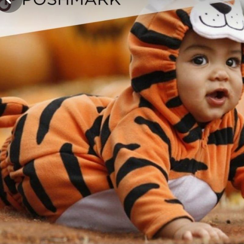 Carters Roupa Importada Infantil Fantasia Tigrinho Meses Carters