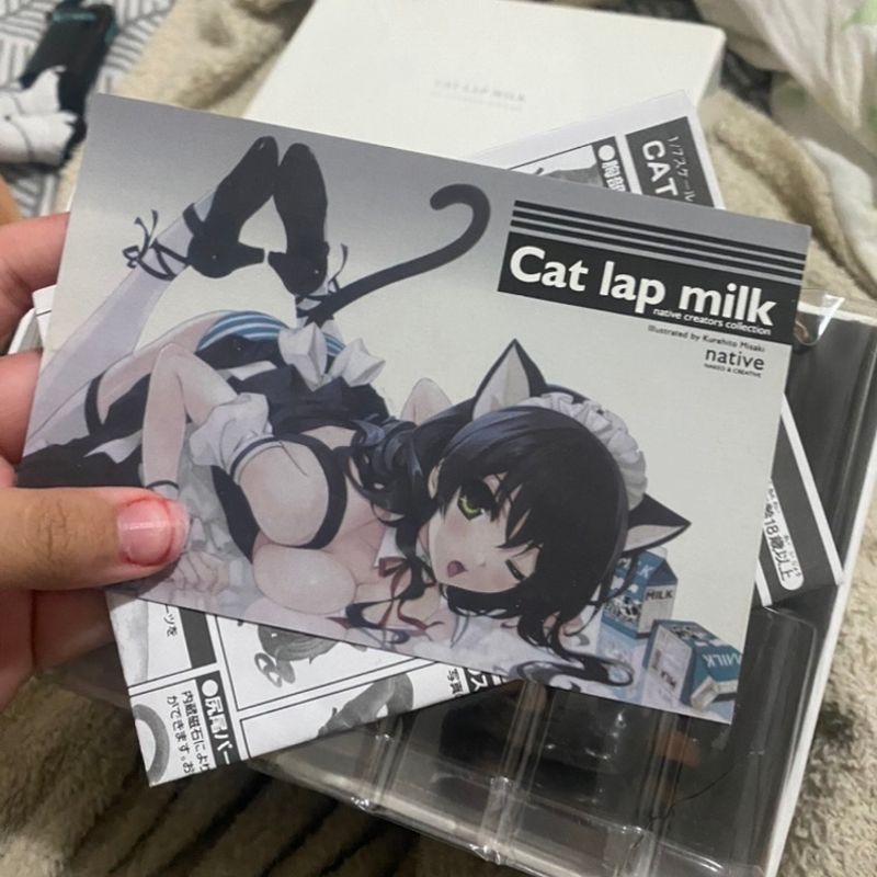 Cat lap milk orders figure