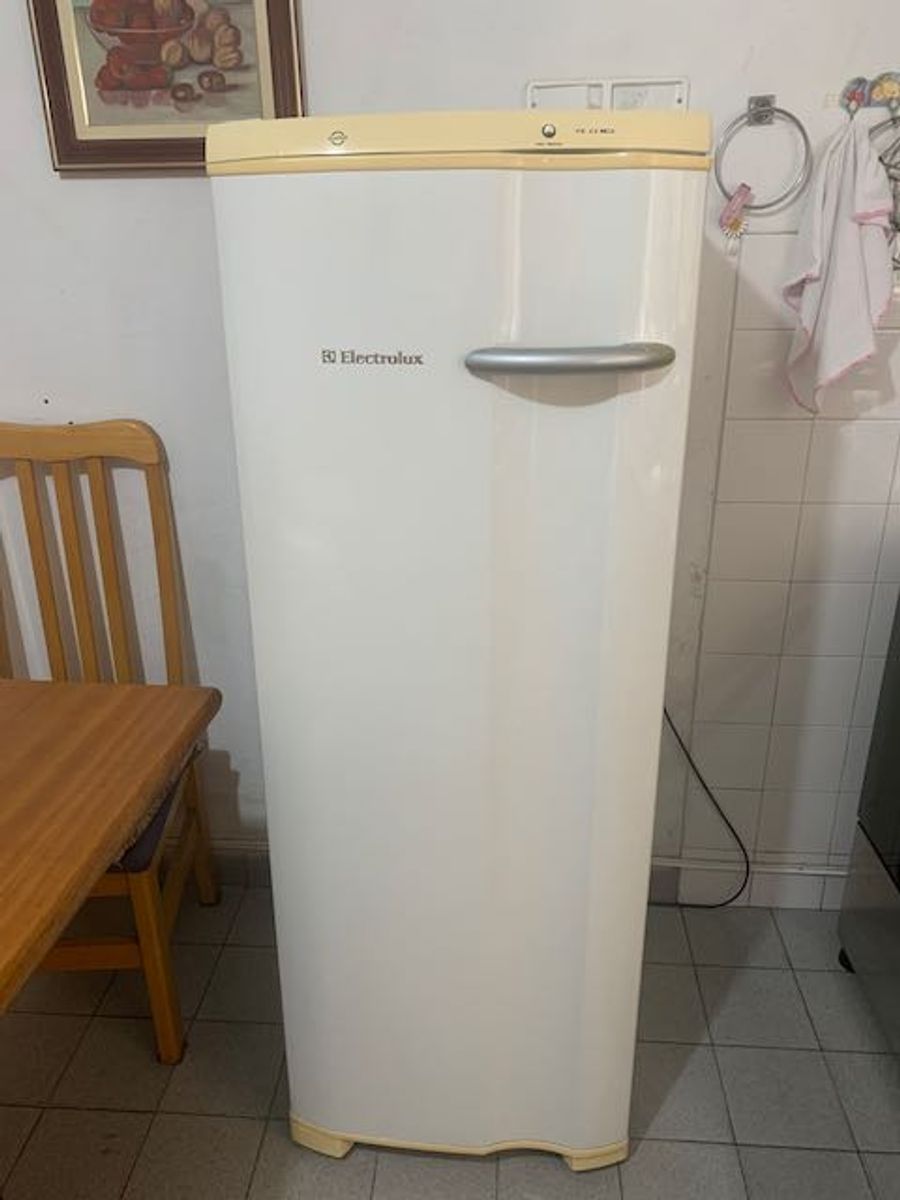 Freezer Vertical Eletrolux Fe22 Eletrodoméstico Eetrolux Usado