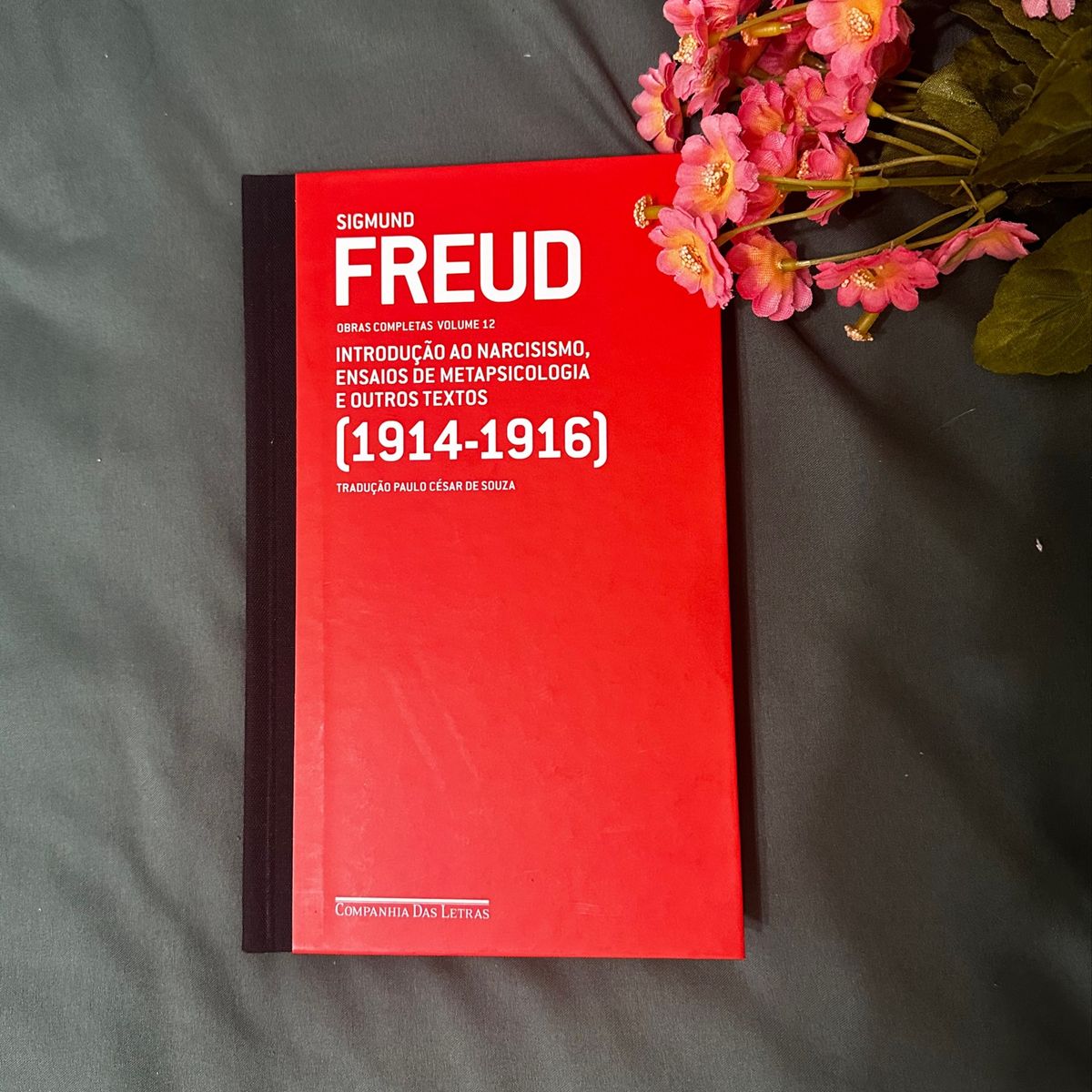 Obras completas de Freud - Cia das Letras - vol.12 - 1914-1916