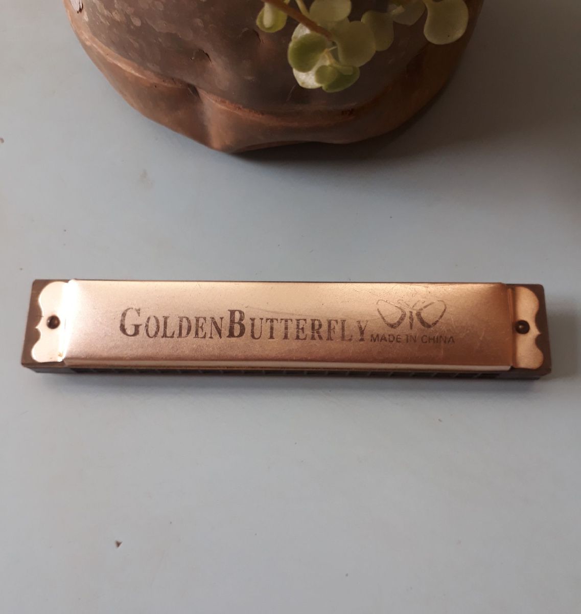 Gaita Golden Butterfly Item de Música Golden Butterfly Usado 69149828