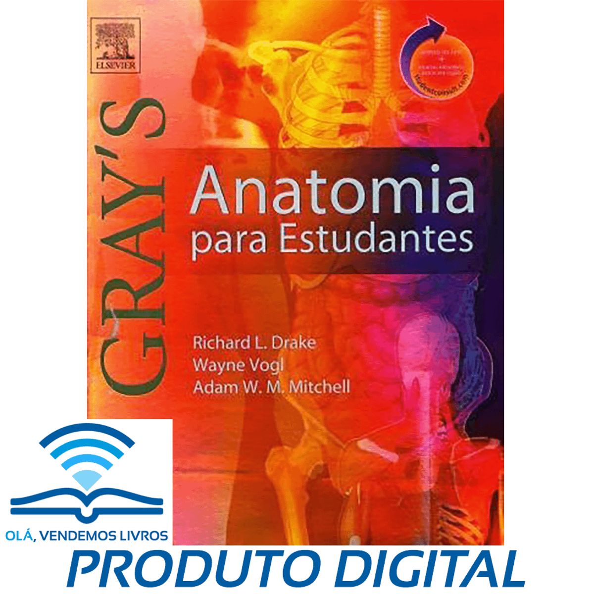 Grey's Anatomy Livro de Anatomia Pdf Anatomia para Estudantes 2 Edição