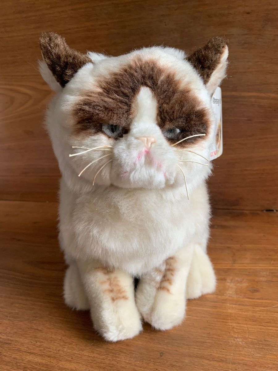 Grumpy Cat Original Comprado em Ny Item de Decora o Grumpycat