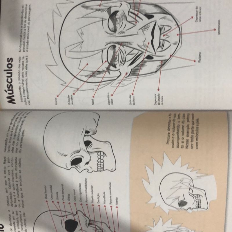 Guia Aprenda a Desenhar Mangá e Guia Curso de Desenho Anime