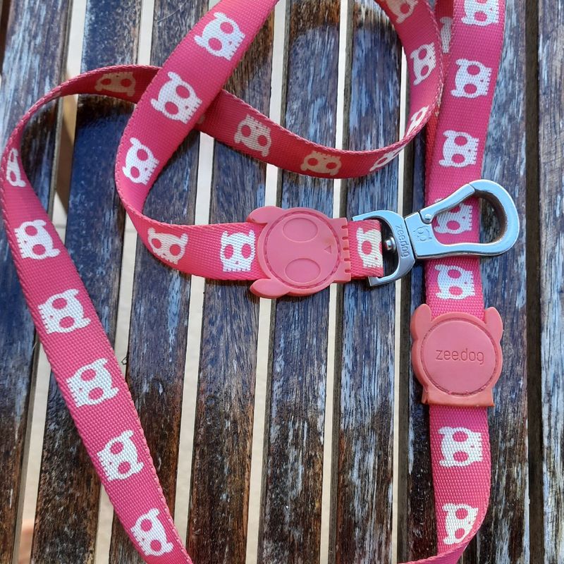 Guia e Peitoral Caveira Rosa G Zee Dog Usado 70020193 enjoei