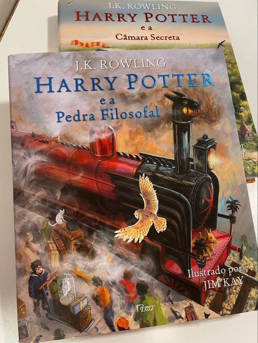 Harry potter e a pedra filosofal livro ilustrado brinquedo rocco