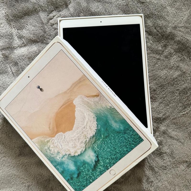 Ipad Pro Novíssimo (10.5-Inch) Wi-Fi + Celular 512gb . Semi Novo