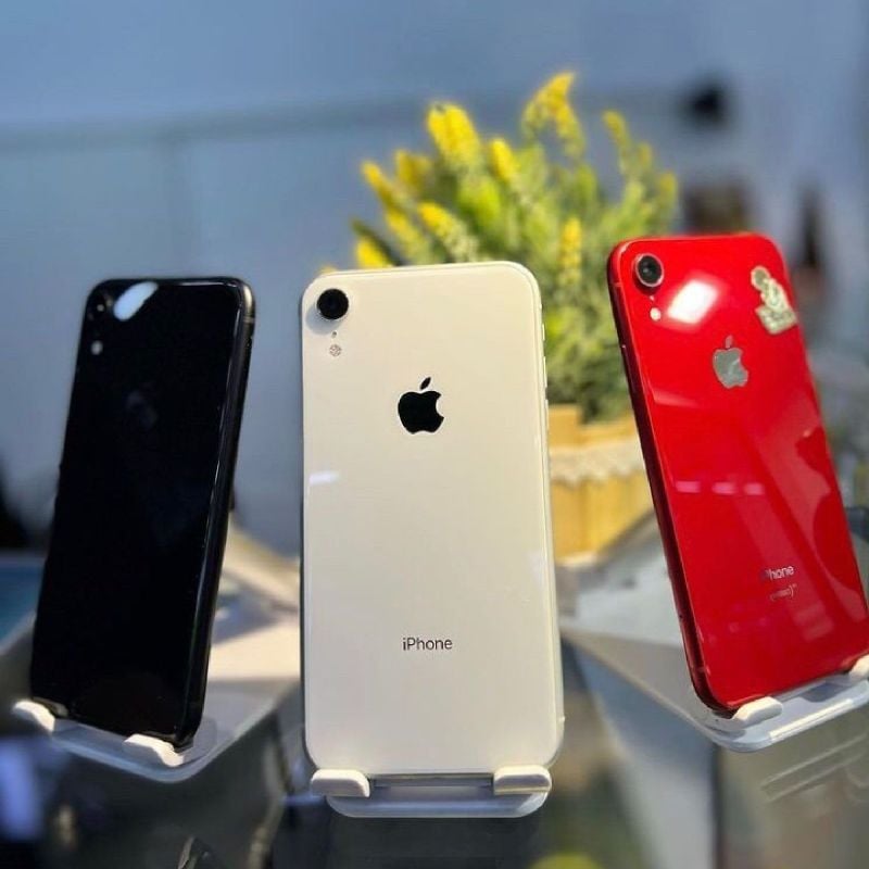 Iphone Xr 64 Gb | Produto Feminino Apple Nunca Usado 73093453 | enjoei