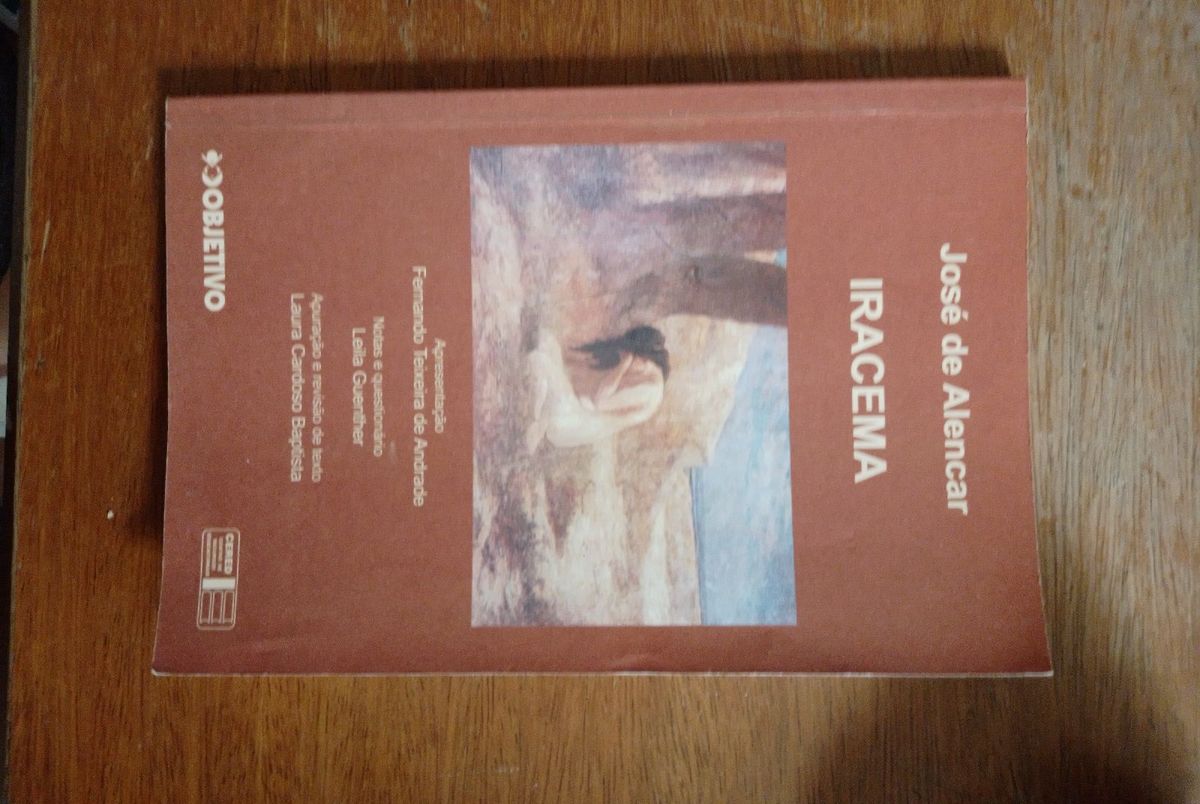 Iracema visual data 4