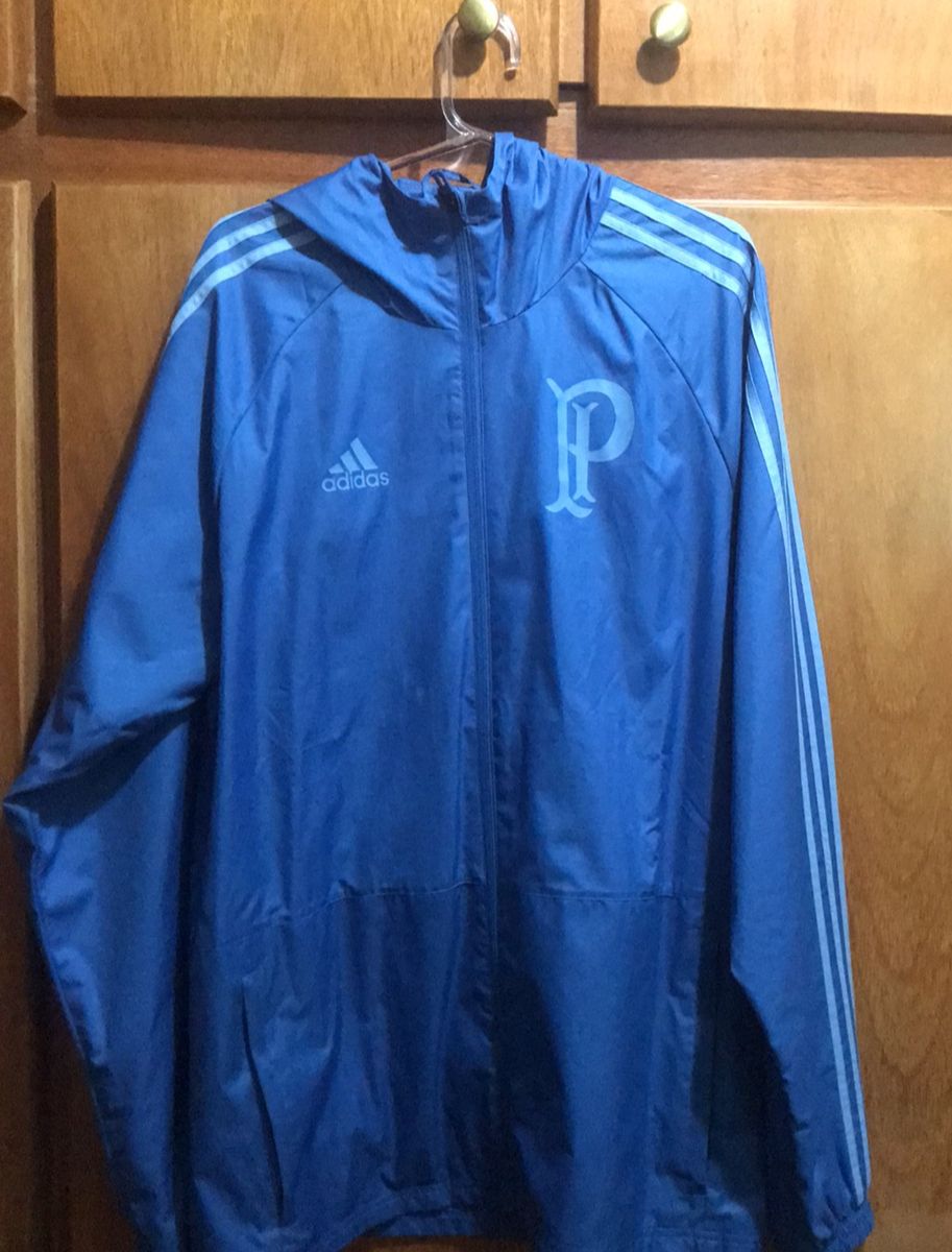 corta vento palmeiras