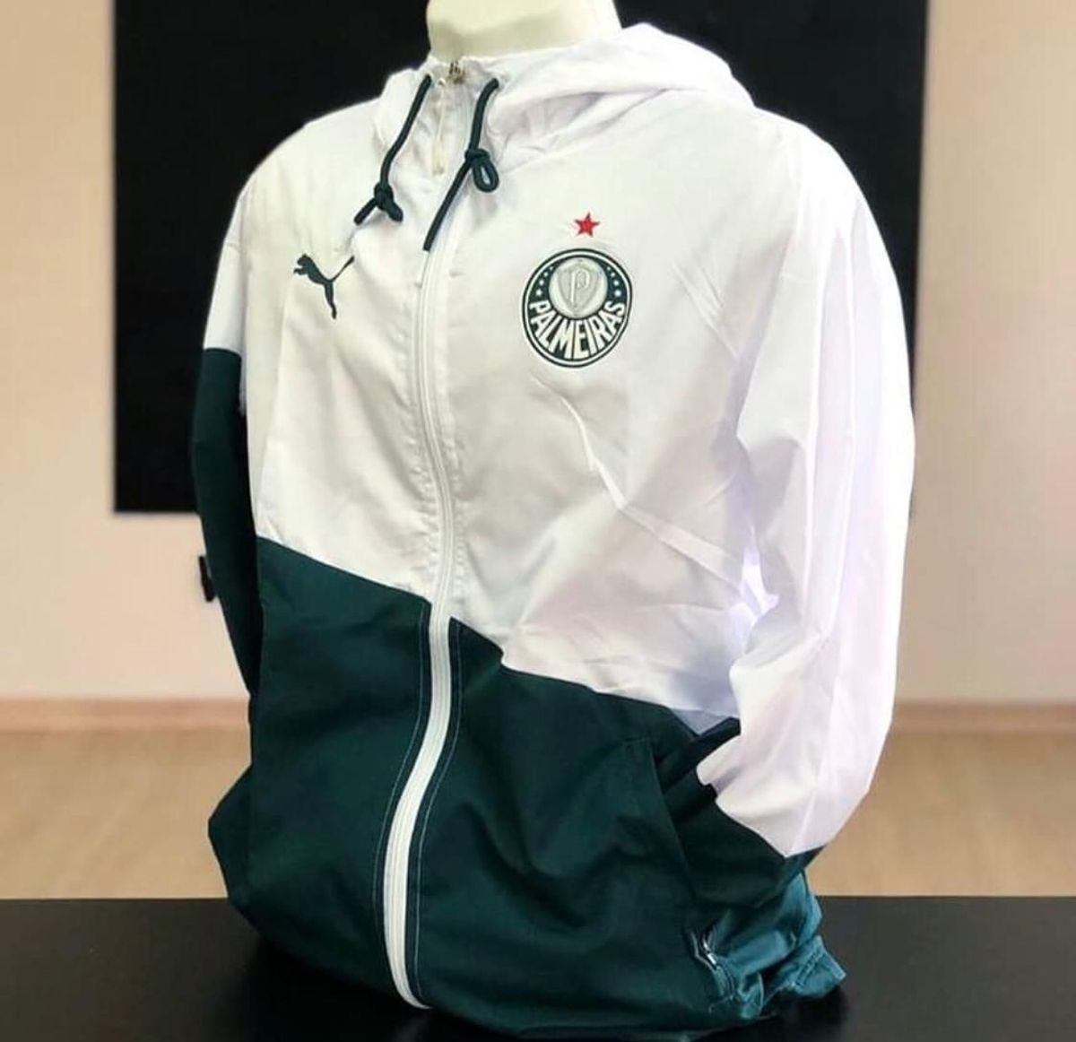 blusa de frio do palmeiras masculina